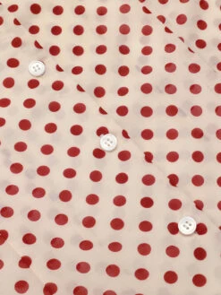 2PCS 1950s Red Polka Dot Blouse & Burgundy Pants -Retro Pulse Shop SCH001018 SCH001019 4