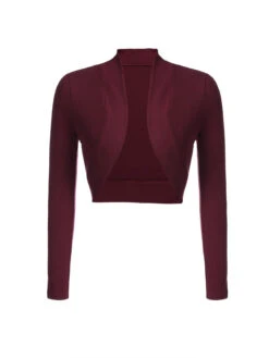 2PCS Wine Red 1960s Velvet Bodycon Dress 19 2PCS Wine Red 1960s Velvet Bodycon Dress -Retro Pulse Shop SCV009606 1