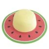 Red Watermelon-Like Sun Hat -Retro Pulse Shop SCW000572 R