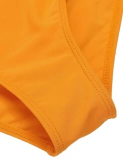 Turmeric 1940s Spaghetti Strap Roses Swimsuit -Retro Pulse Shop SCXL000059 6 compressed