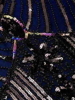 Plus Size 1920s Sequined Dress -Retro Pulse Shop SVH034316 BL 5